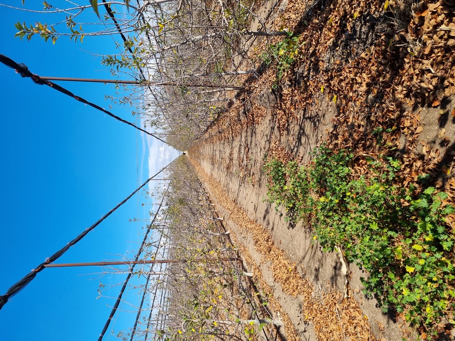 New State of the Art Plant for Fruit in Pouches